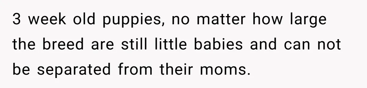3 week old puppies, no matter how large the breed are still little babies and can not be separated from their moms.