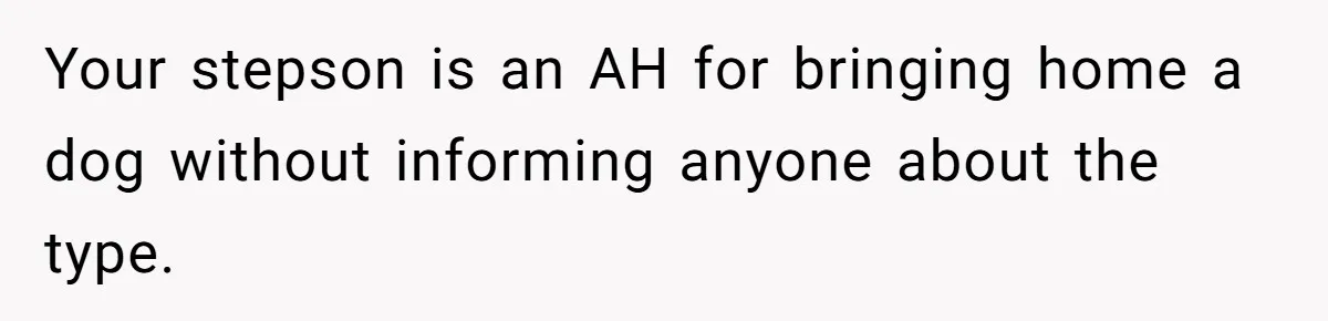 Your stepson is an AH for bringing home a dog without informing anyone about the type.