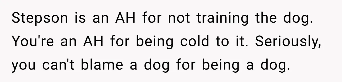 Stepson is an AH for not training the dog. You're an AH for being cold to it. Seriously, you can't blame a dog for being a dog.