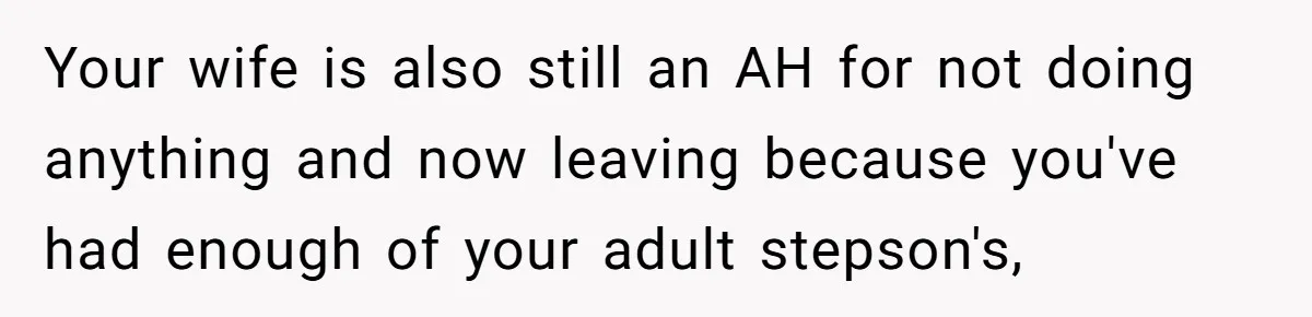 Your wife is also still an AH for not doing anything and now leaving because you've had enough of your adult stepson's,