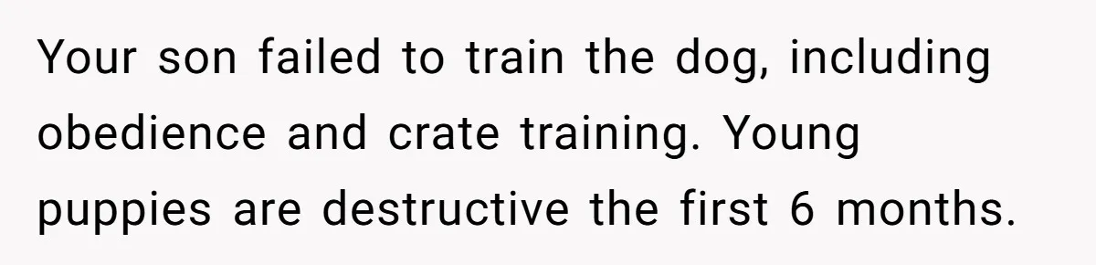 Your son failed to train the dog, including obedience and crate training. Young puppies are destructive the first 6 months.