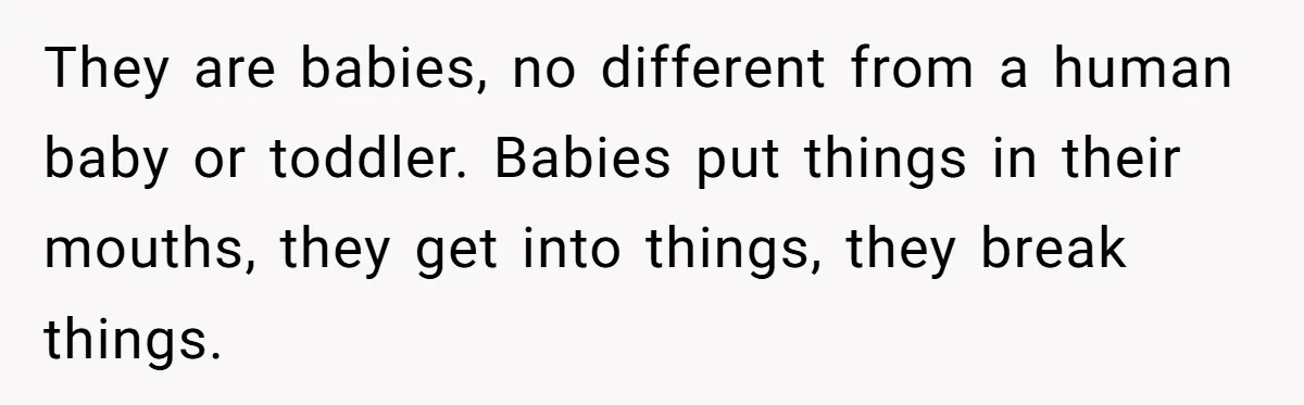 They are babies, no different from a human baby or toddler. Babies put things in their mouths, they get into things, they break things.