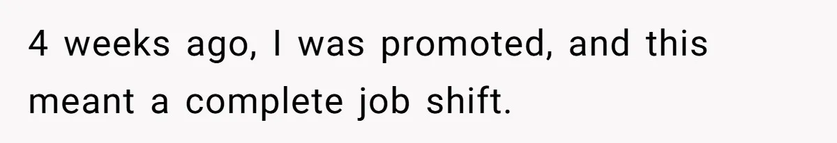 4 weeks ago, I was promoted, and this meant a complete job shift.