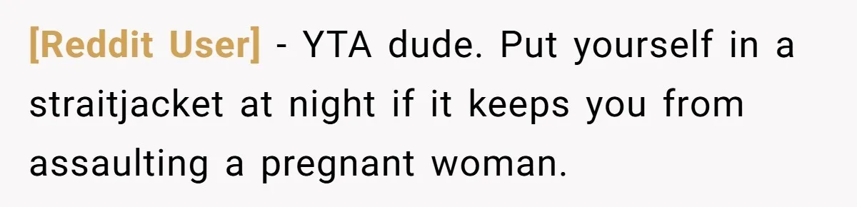 [Reddit User] − YTA dude. Put yourself in a straitjacket at night if it keeps you from assaulting a pregnant woman.