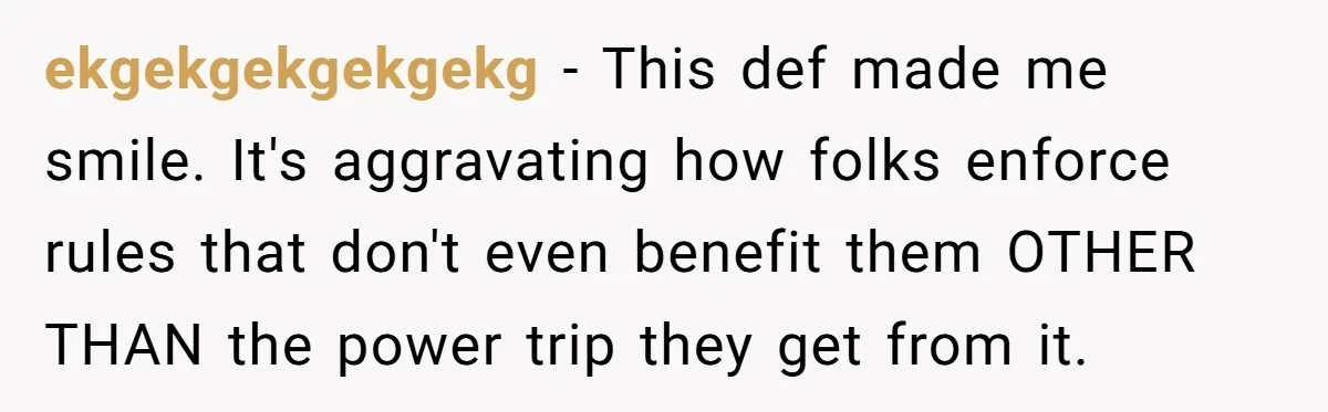 ekgekgekgekgekg − This def made me smile. It's aggravating how folks enforce rules that don't even benefit them OTHER THAN the power trip they get from it.