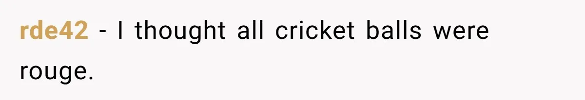 Dad Gets Decade-Long Revenge On Aunty With Her Own Wedding Gift, And She Doesn’t See It Coming rde42 − I thought all cricket balls were rouge.