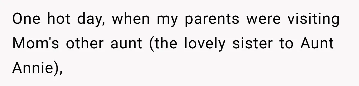 Dad Gets Decade-Long Revenge On Aunty With Her Own Wedding Gift, And She Doesn’t See It Coming One hot day, when my parents were visiting Mom's other aunt (the lovely sister to Aunt Annie),