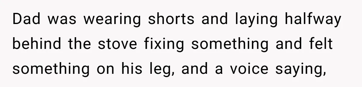 Dad Gets Decade-Long Revenge On Aunty With Her Own Wedding Gift, And She Doesn’t See It Coming Dad was wearing shorts and laying halfway behind the stove fixing something and felt something on his leg, and a voice saying,