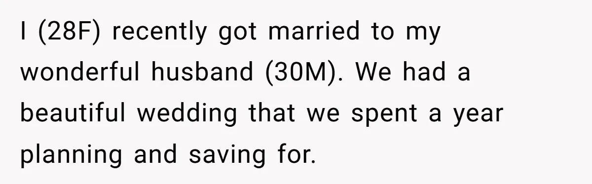 I (28F) recently got married to my wonderful husband (30M). We had a beautiful wedding that we spent a year planning and saving for.
