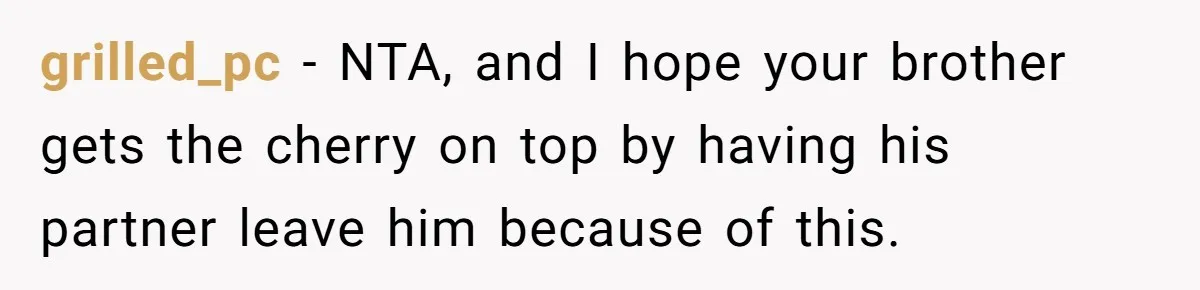 grilled_pc − NTA, and I hope your brother gets the cherry on top by having his partner leave him because of this.