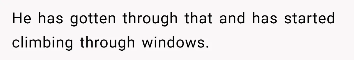 He has gotten through that and has started climbing through windows.