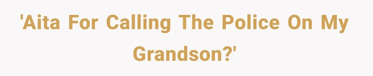 'AITA for calling the police on my grandson?'