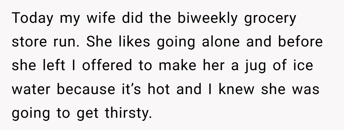 Today my wife did the biweekly grocery store run. She likes going alone and before she left I offered to make her a jug of ice water because it’s hot...