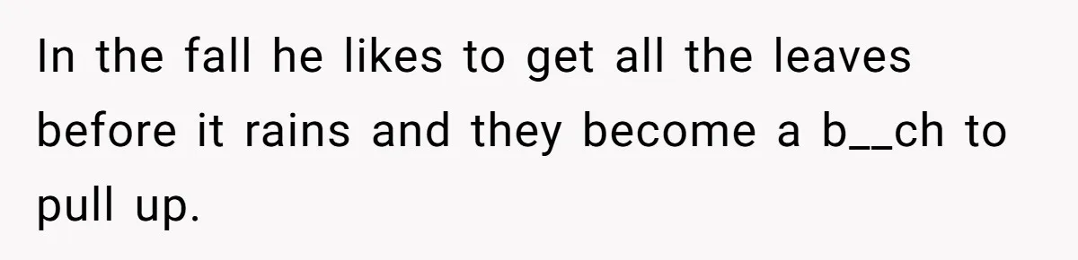 In the fall he likes to get all the leaves before it rains and they become a b__ch to pull up.