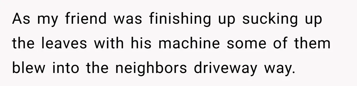 As my friend was finishing up sucking up the leaves with his machine some of them blew into the neighbors driveway way.