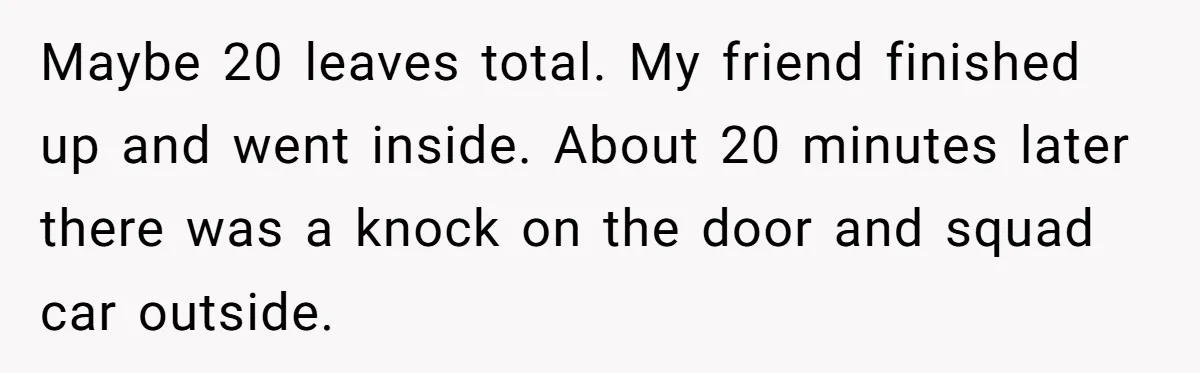 Maybe 20 leaves total. My friend finished up and went inside. About 20 minutes later there was a knock on the door and squad car outside.