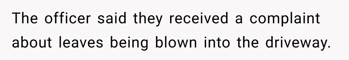 The officer said they received a complaint about leaves being blown into the driveway.