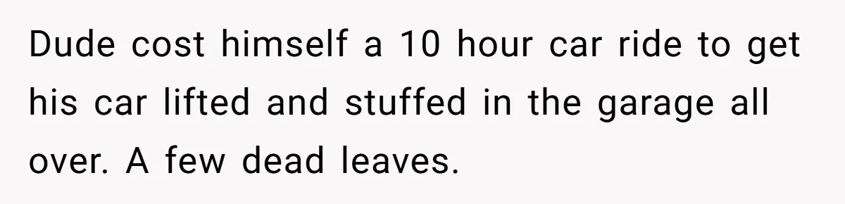 Dude cost himself a 10 hour car ride to get his car lifted and stuffed in the garage all over. A few dead leaves.