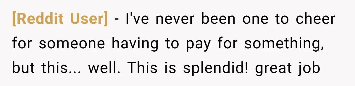[Reddit User] − I've never been one to cheer for someone having to pay for something, but this... well. This is splendid! great job