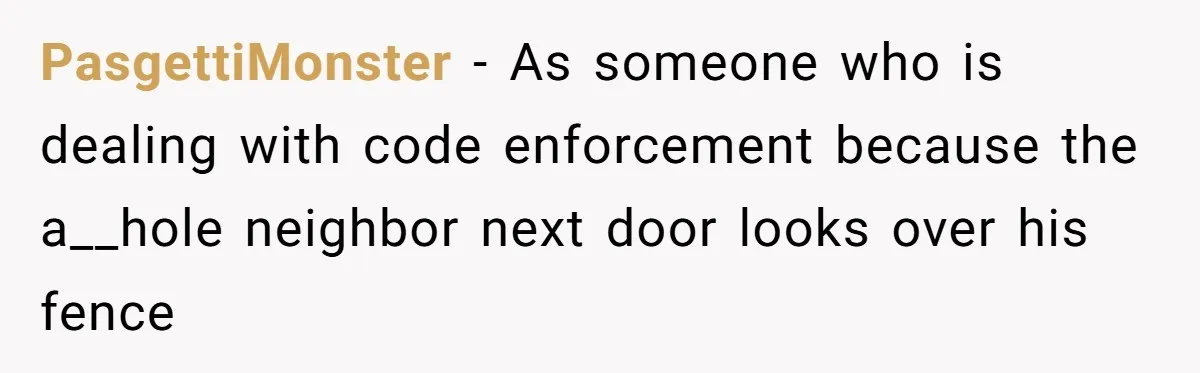 PasgettiMonster − As someone who is dealing with code enforcement because the a__hole neighbor next door looks over his fence