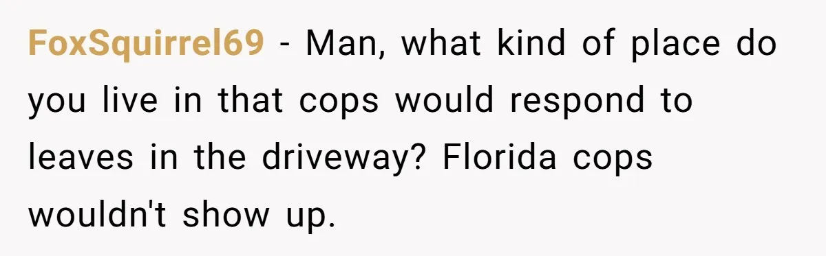 FoxSquirrel69 − Man, what kind of place do you live in that cops would respond to leaves in the driveway? Florida cops wouldn't show up.
