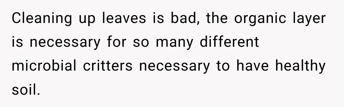 Cleaning up leaves is bad, the organic layer is necessary for so many different microbial critters necessary to have healthy soil.