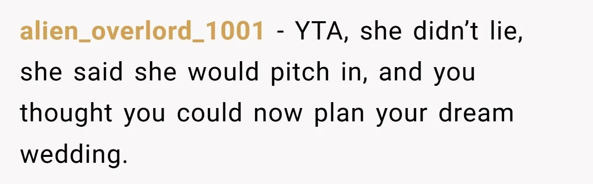 alien_overlord_1001 − YTA, she didn’t lie, she said she would pitch in, and you thought you could now plan your dream wedding.