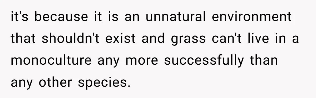 it's because it is an unnatural environment that shouldn't exist and grass can't live in a monoculture any more successfully than any other species.