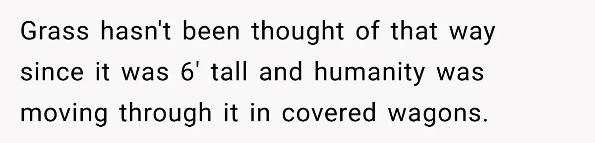 Grass hasn't been thought of that way since it was 6' tall and humanity was moving through it in covered wagons.