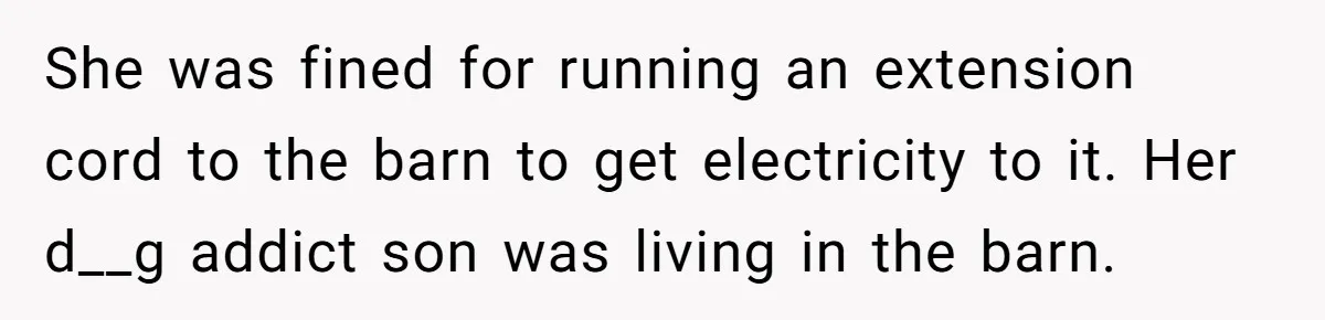 She was fined for running an extension cord to the barn to get electricity to it. Her d__g addict son was living in the barn.