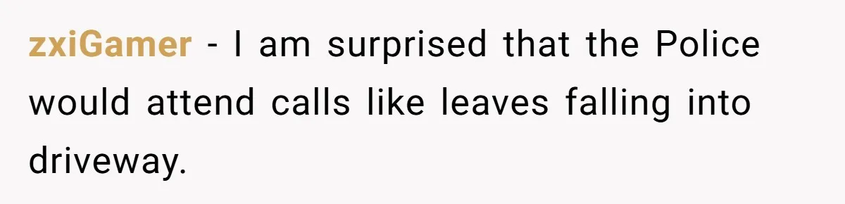 zxiGamer − I am surprised that the Police would attend calls like leaves falling into driveway.