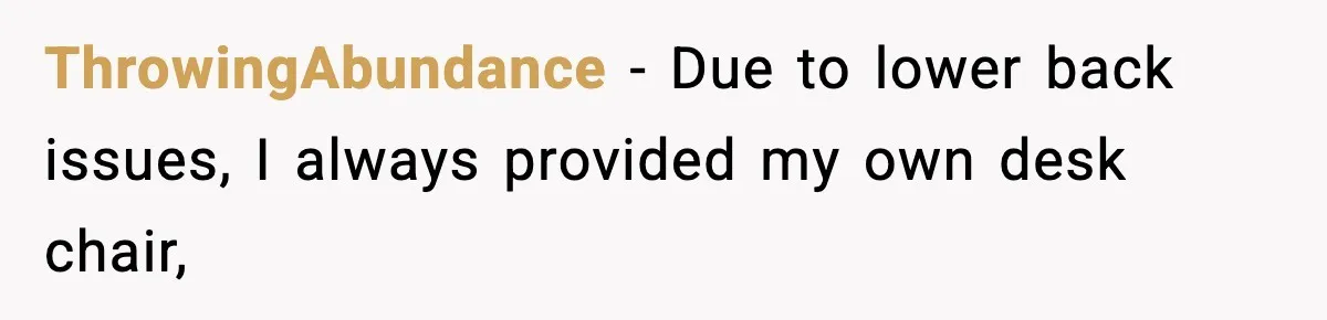 ThrowingAbundance − Due to lower back issues, I always provided my own desk chair,