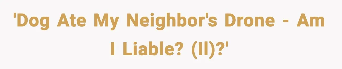 'Dog ate my Neighbor's Drone - Am I liable? (IL)?'
