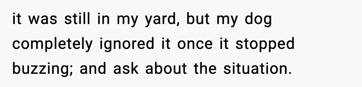 it was still in my yard, but my dog completely ignored it once it stopped buzzing; and ask about the situation.