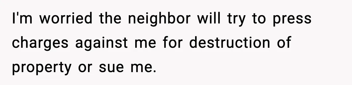 I'm worried the neighbor will try to press charges against me for destruction of property or sue me.
