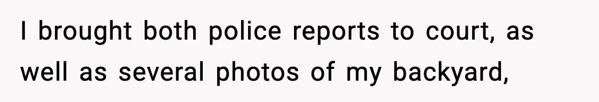 I brought both police reports to court, as well as several photos of my backyard,