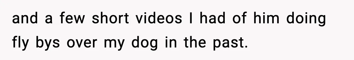 and a few short videos I had of him doing fly bys over my dog in the past.