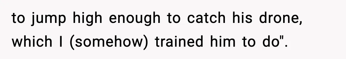 to jump high enough to catch his drone, which I (somehow) trained him to do".
