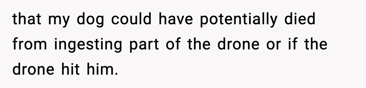 that my dog could have potentially died from ingesting part of the drone or if the drone hit him.