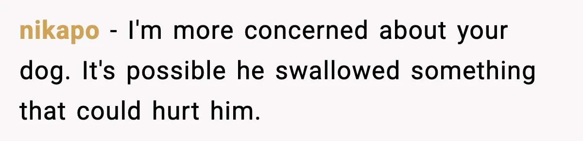 nikapo − I'm more concerned about your dog. It's possible he swallowed something that could hurt him.