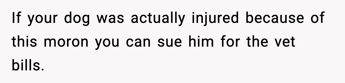 If your dog was actually injured because of this moron you can sue him for the vet bills.