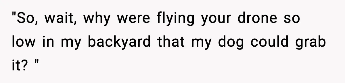 "So, wait, why were flying your drone so low in my backyard that my dog could grab it? "