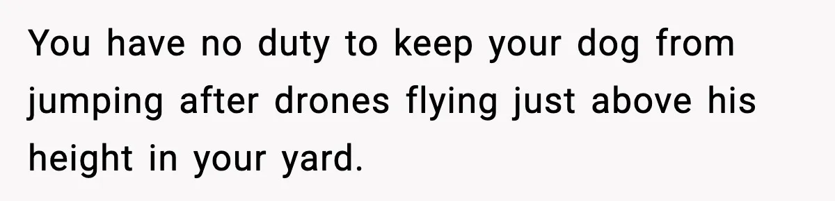 You have no duty to keep your dog from jumping after drones flying just above his height in your yard.