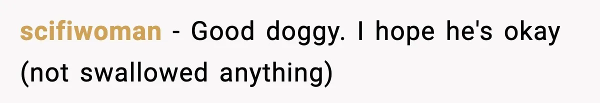 scifiwoman − Good doggy. I hope he's okay (not swallowed anything)