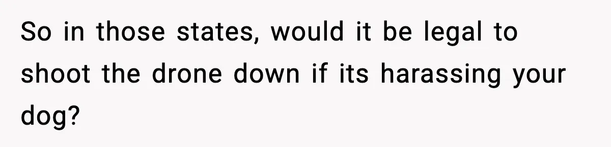 So in those states, would it be legal to shoot the drone down if its harassing your dog?