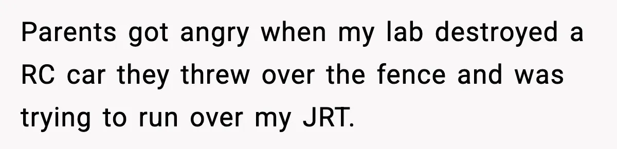 Parents got angry when my lab destroyed a RC car they threw over the fence and was trying to run over my JRT.