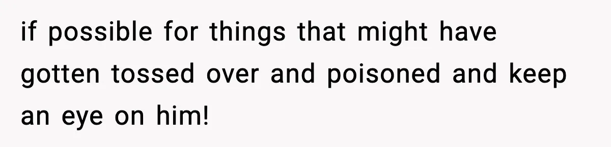 if possible for things that might have gotten tossed over and poisoned and keep an eye on him!