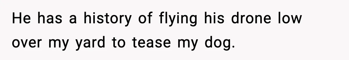 He has a history of flying his drone low over my yard to tease my dog.