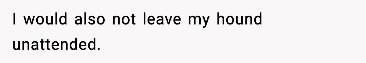 I would also not leave my hound unattended.