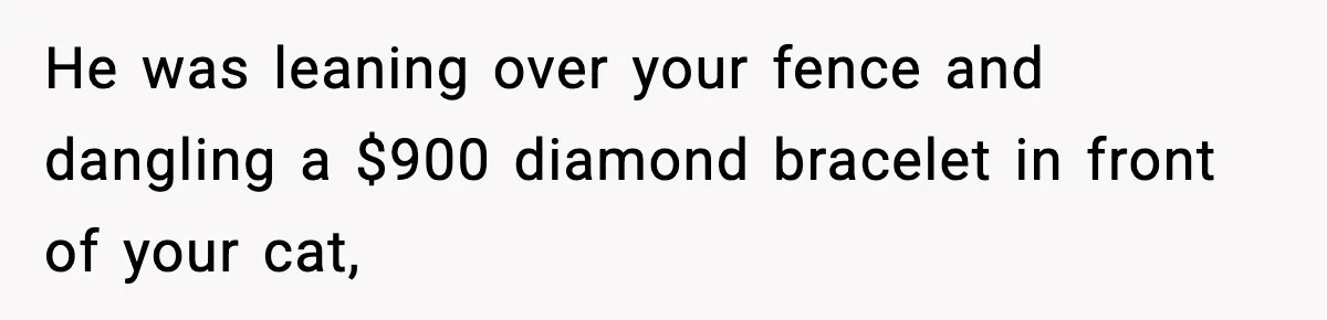 He was leaning over your fence and dangling a $900 diamond bracelet in front of your cat,